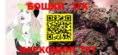 гидра Шелехов