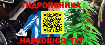 прущая мука Шахты