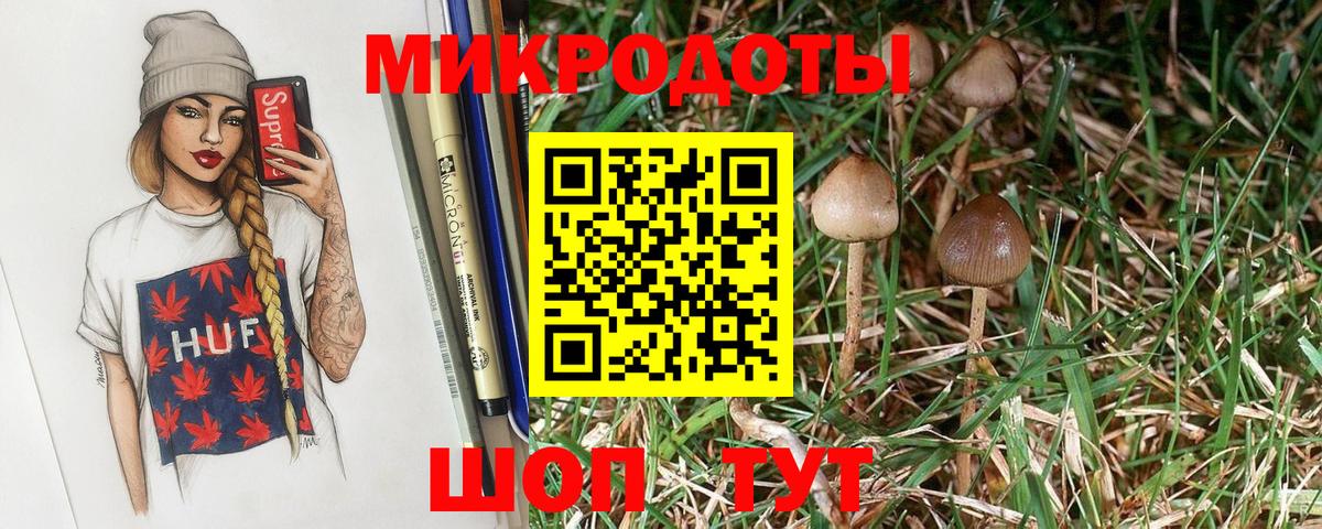Псилоцибиновые грибы MAGIC MUSHROOMS  Вход с VPN  Белая Калитва 