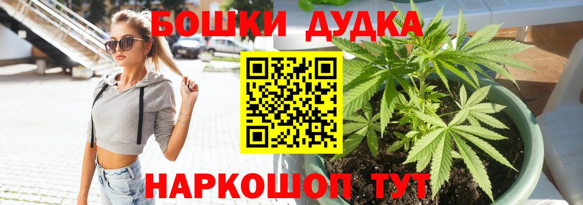 Канабис Bruce Banner  Каннабис планчик  Вход с VPN  Белая Калитва 